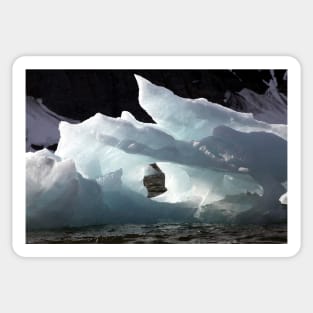 Icebergs Ahead Sticker